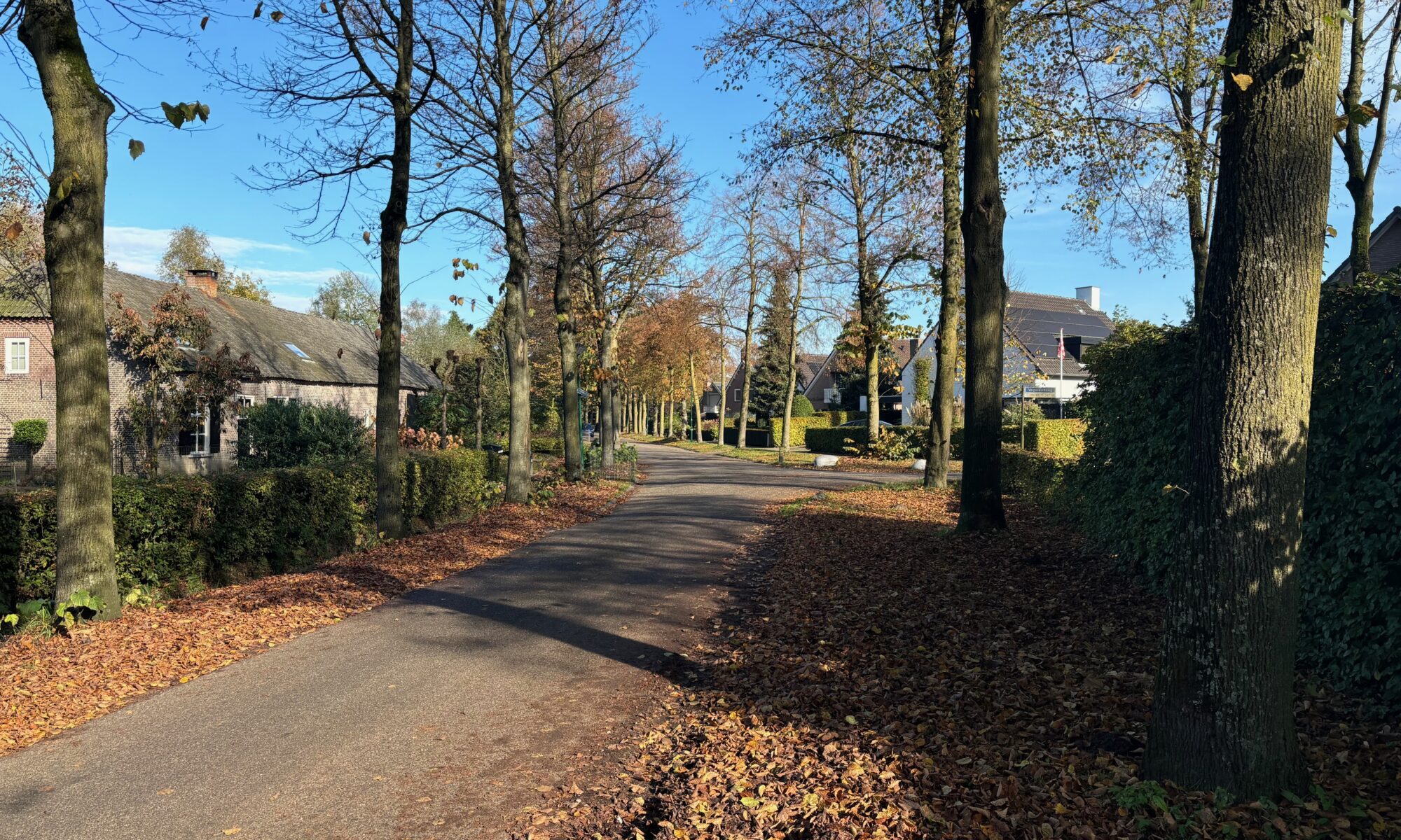 Op- en aanmerkingen op de openbare ruimte kunnen eenvoudig bij de gemeente gemeld worden. Hulp nodig ? De Dorpsraad helpt u graag naar het juiste loket.