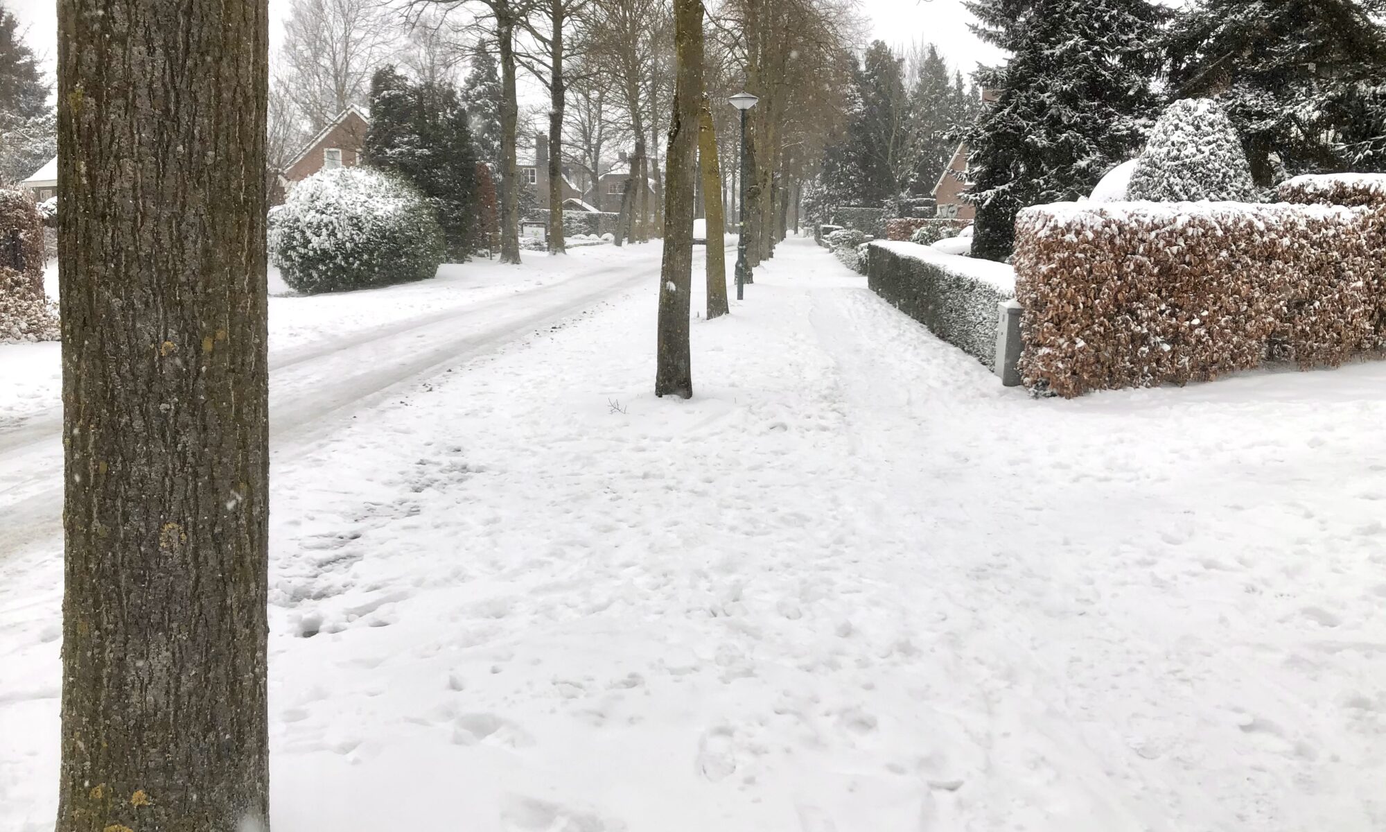 de Sneeuwruimploeg van de Dorpsraad wil de belangrijkste Lieshoutse voetpaden -óók op sneeuwdagen- graag begaanbaar houden.